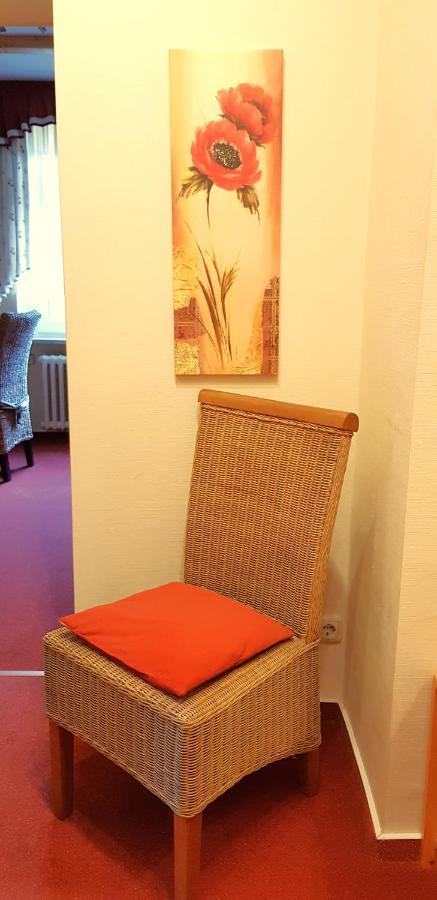 Villa Helvetia Bad Elster Bagian luar foto