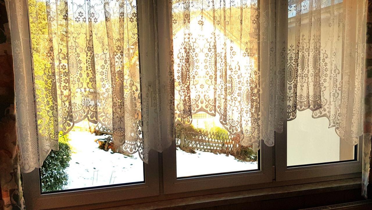 Villa Helvetia Bad Elster Bagian luar foto