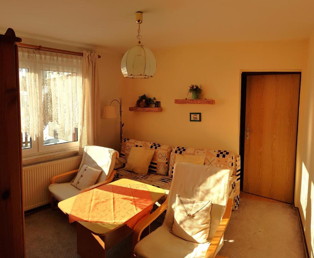 Villa Helvetia Bad Elster Bagian luar foto
