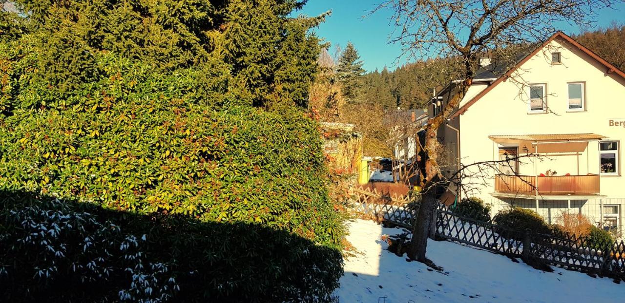 Villa Helvetia Bad Elster Bagian luar foto