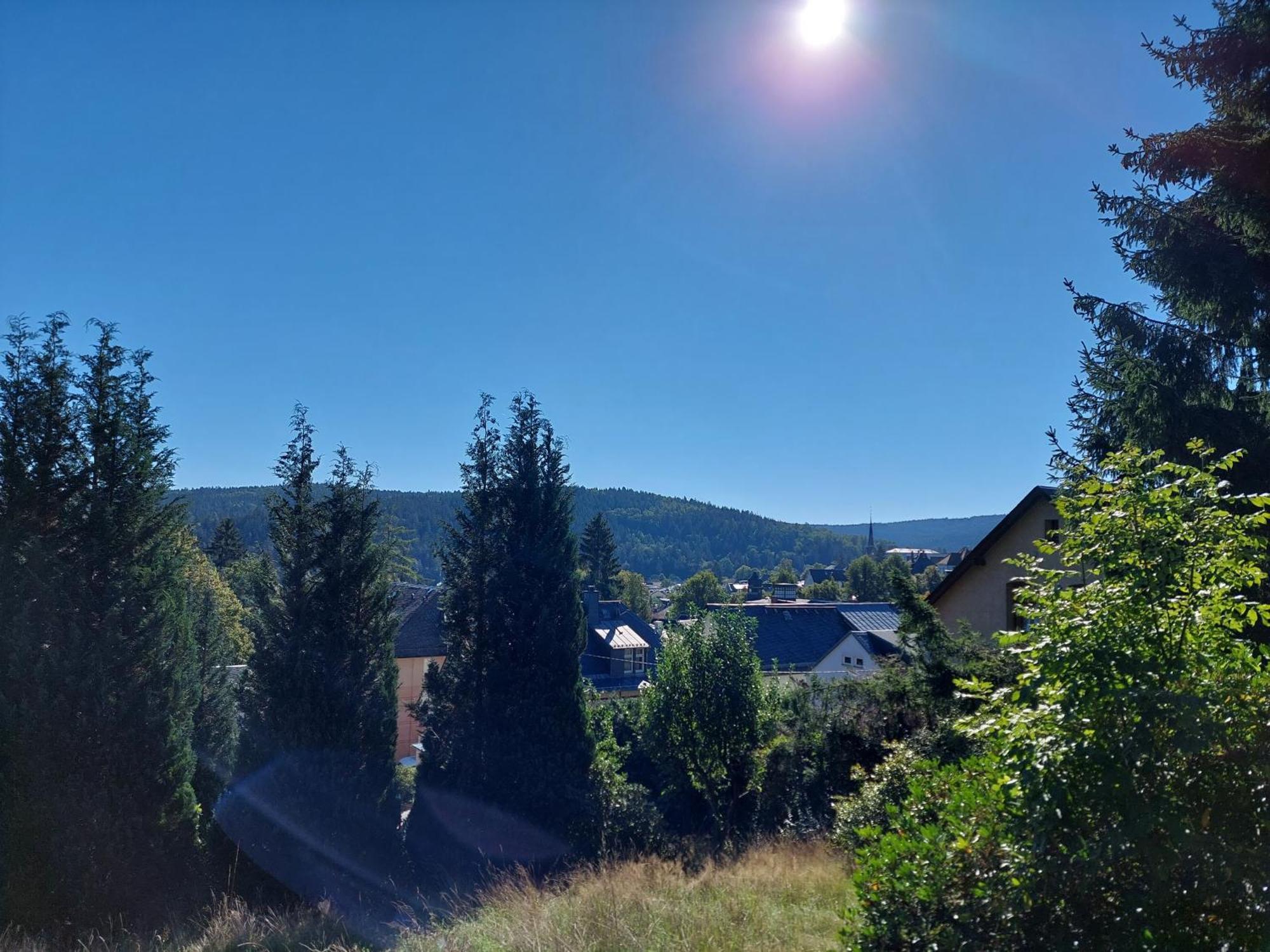 Villa Helvetia Bad Elster Bagian luar foto