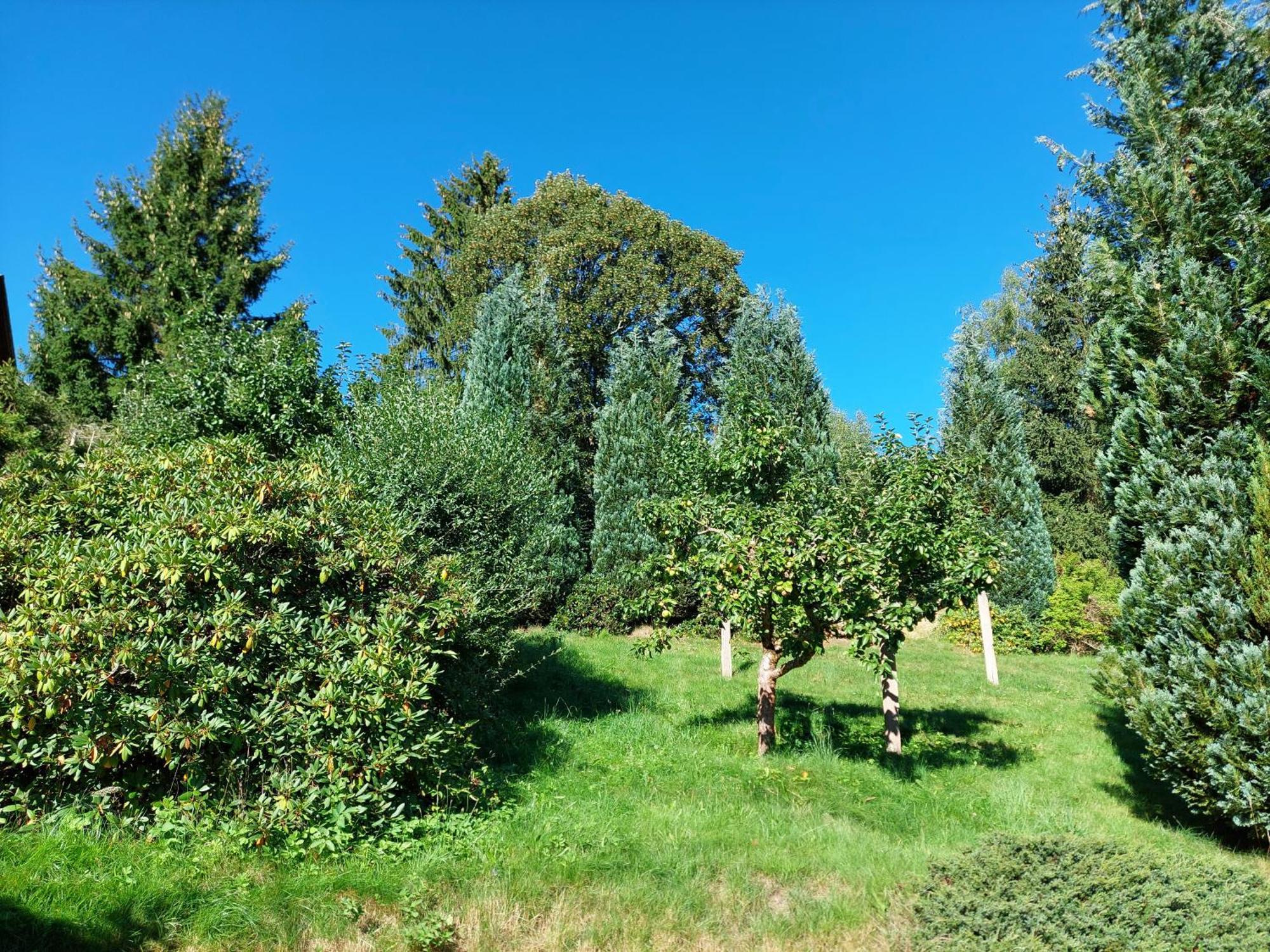 Villa Helvetia Bad Elster Bagian luar foto